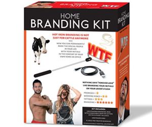 51dZzsRw16L 300x250 - Maad Home Branding Kit Prank Gift Box - Perfect Gag, Anniversary Presents, or White Elephant
